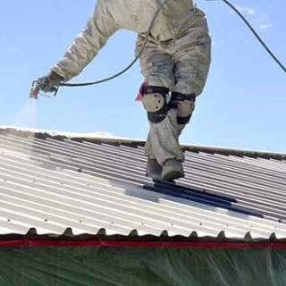 roof-painting